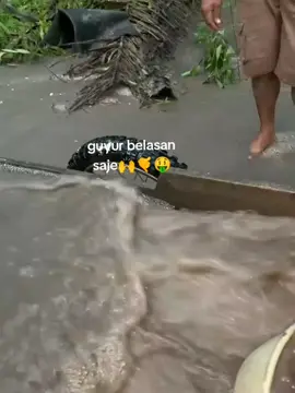 kalah semua dekk bang cuma punya teing😅🤣#nyuntiktimahbelitung #tambangtimahbangkabelitung #tambangtimah #lewatberanda .....