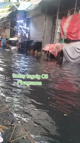 #floodcontrol #baha #taguigcity #flood 