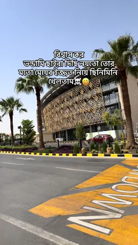 বিশ্বাস কর ভন্ডামি ছাইরা দিছি নয়তো তোর মতো মেয়ের ইজ্জত নিয়ে #foryou #foryoupage #fypシ゚viral 