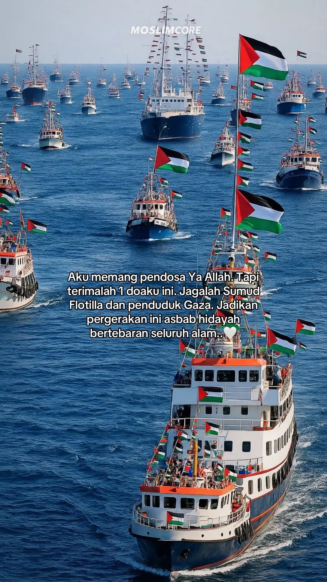 #🇵🇸 #sumudnusantara #palestine 
