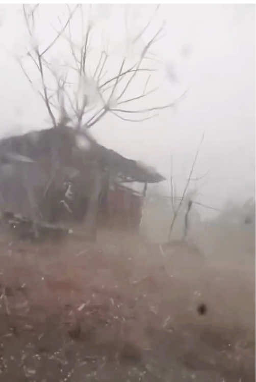 #hailstorm#hail#badweather#naturedisaster#fyp @Nature  @Nature  @Nature @oceanlife-fishing @YunPu 