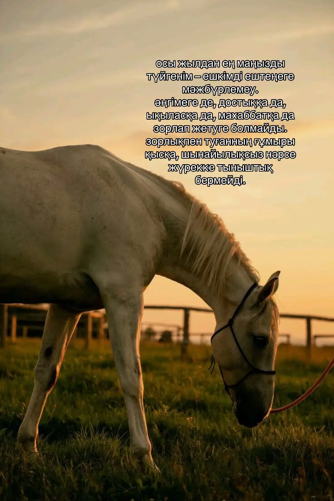 #реки 