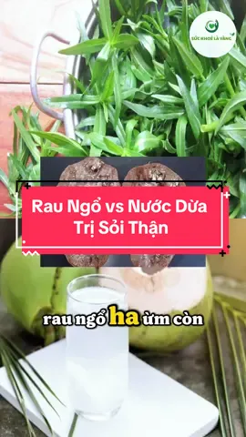 Phần 10. Rau Ngổ và nước dừa, bài thuốc trị sỏi thận mà bạn cần pải lưu lại. #songkhoemoingay #suckhoe #baithuocdangian #soithan #raungo 