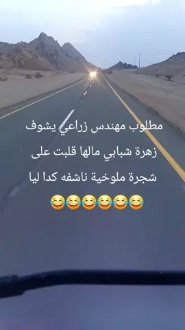 #المملكه_العربيه_السعوديه🇸🇦 #روقاني😋_تصويري_تصميمي #مجرد________ذووووووق🎶🎵💞 #اكسبلورexplore #العراق_السعوديه_الاردن_الخليج 
