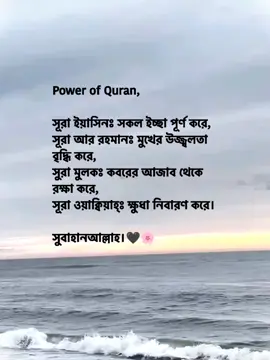 Power of Quran, সূরা ইয়াসিনঃ সকল ইচ্ছা পূর্ণ করে,  সূরা আর রহমানঃ মুখের উজ্জ্বলতা বৃদ্ধি করে,  সুরা মুলকঃ কবরের আজাব থেকে রক্ষা করে,  সূরা ওয়াক্বিয়াহ্ঃ ক্ষুধা নিবারণ করে।  সুবাহানআল্লাহ।🖤🌸#fupシ #foryou #vairal_video #unfreezemyacount #tomago_picchi_vaiyaa 