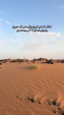 #الغبيوي #تصويري 