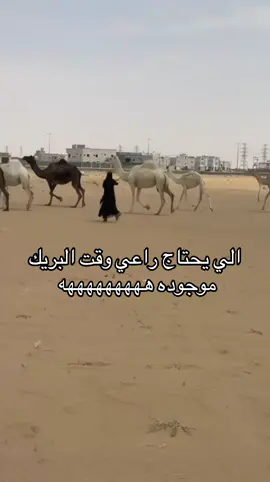 اهخخ اخذت ضربت شمس هههههههههه #نجران_السعوديه #جامعه نجران 