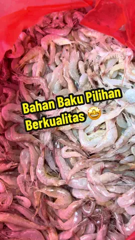 Bahan Baku udang freshhhh 🦐😍 #udangcrispy #udang #oleholehtegal #tiktokshop 