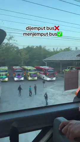 #busmania #busmaniacommunity #mahardhika #tourleaderfreelance 
