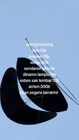 saatnya era mancing#layangan#fypage #jawapride #blitar24jam 