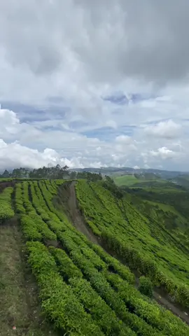 seindah ini😍😍😍🌹🌹🌹#kaliguabrebesbumiayu #puncaksakub #fyppppppppppppppppppppppp 