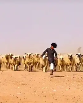 #كسبلوررر 
