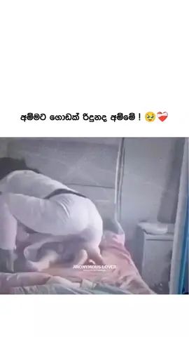 අනේ ඒක ! 🥹❤️‍🩹 #emotional #viral #foryoupage 
