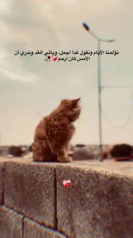 #ستوريات #انستا #status #فتره_وتعدي #خواطر @🔒عـᬼ💛᭄᭄ᬼـنيدة 