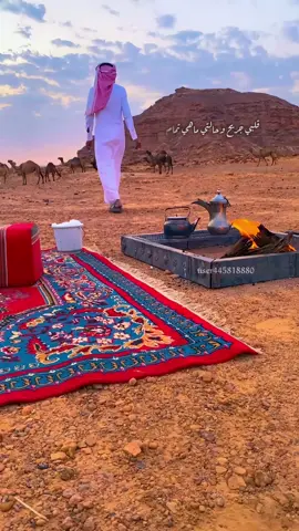 #اكسبلور_تيك_توك 