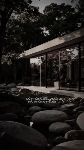 Người ta mang cho… :))) #cucmanh #lunyentertainment #capcut #capcutpioneer #pioneertemplate 