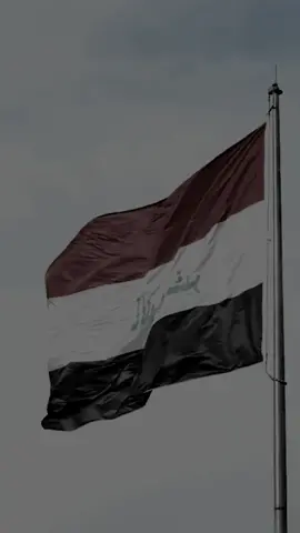 أصلي عليك ابا الفرقدين عراق علي عراق الحسين باسم الكربلائي #يوم_الوطني #عراق #الله_اكبر #اللهم_عجل_لوليك_الفرج #عراق_الائمة
