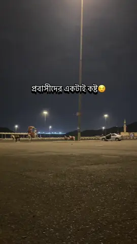 #foryou #foryoupage #fyyyyyyyyyyyyyyyy #unfrezzmyaccount #vairalvideo 