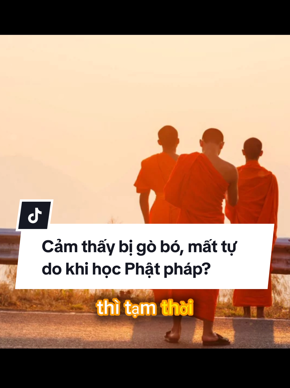 🌱Bây giờ quý vị học Phật Pháp thì đây chính là lúc thiện căn tăng trưởng! #hoathuongtuyenhoa #adidaphat #nammoadidaphat #kinhdiatang 