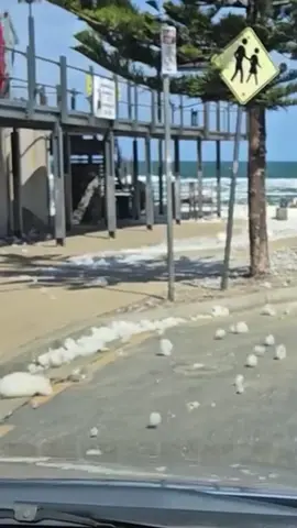 Thick algae foam continues to smother Adelaide's metropolitan beaches from Glenelg to Port Noarlunga, while a taxpayer-funded bubble curtain designed to protect marine life sits unused as the government works to finalise its summer response plan. 🔗 Read more at @the.tiser link in bio.