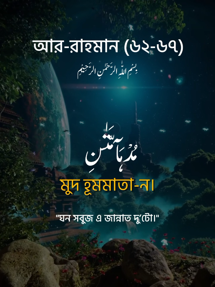 সুরা আর-রাহমান (৬২_৬৭) তেলাওয়াত। #সূরা_আর_রহমান #ayatulkursi #foryou #কোরআন_তেলোয়াত #qurantilawat 