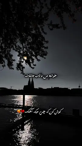#creatorsearchinsights #viralvibes #viral #viralvidoes #خوشم من با تب عشقت