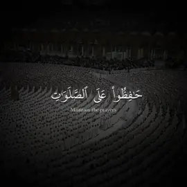 #الشيخ_ياسر_الدوسـري🎧🤍🕋 #القران_الكريم_راحه_سمعك_القران💙🎧 #اذكرو_الله #fy #viralvideo 