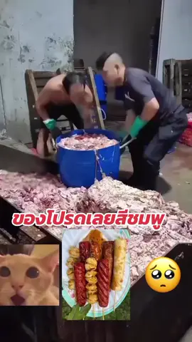 #ข่าวใหม่นายติ๊กต๊อก