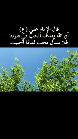 #صدقت_يامولاي_أميرالمؤمنين #الامام_علي #يا_اباالحسن_علي🤍 #ع #مولاي_علي_بن_ابي_طالب #عليه_افضل_الصلاه_والسلام 