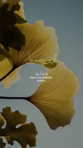 #في هذا اليوم #CapCut #الهم_صلي_على_محمد_وأل_محمد #لاالله_الا_الله_محمدرسول_الله_الا_الله #quran_alkarim 