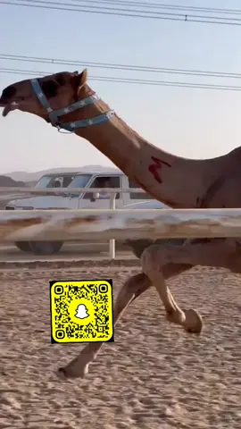 #لايك_متابعه_اكسبلور 