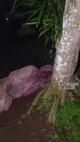 Woi Jirjat Bangun Lah😡💯‼️ #meme #memes #absurdhumor #dankmeme  #memeabsurd #funnyvideos #memepage #memesdaily 