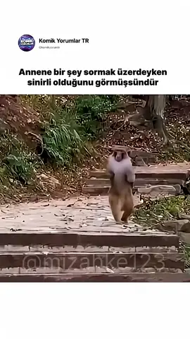 Çünkü soracağın şey çok saçmadır 😂