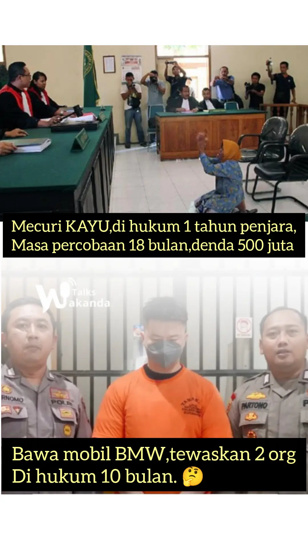 Gimna ini konsepnya. . . ? Kayu vs manusia.  