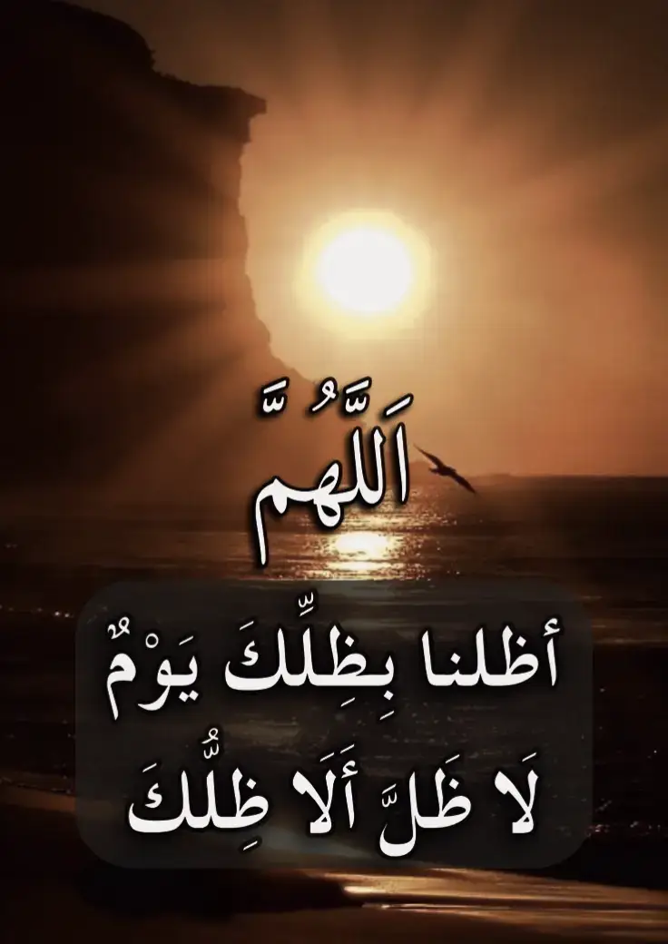 #اللهم #امين #يارب❤️ #العلمين #ادعية_اسلامية_تريح_القلب 