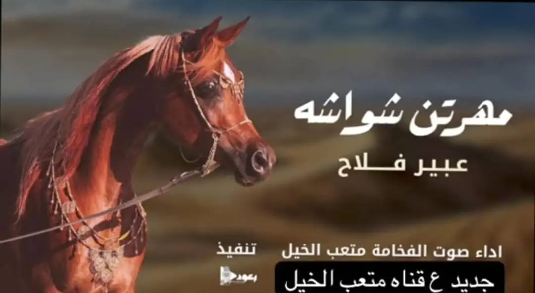 السعودية -//0536512459 قطر الامارات #الكويت  #الكويت //00966566886937 السعوديه ##للطلب الشيلات والزفات التواصل معنا وتساب د اخل_المملكه #شيلات_زفات_تخرجات_مواليد_عقد_قرآن_مولو ده_مولود_شيلات_خروج_من_السجن - شيلات - شفاء_وسلامه شيلات_تقاعد_تخرج_ملازم_تخرج_ملازم_تخرج_عسكري_تخ رج_من_الدفاع_المدني_الكويت_قطر_السعودية_الامارات_البحرين_الكويت_الرياض_المدينه_ابها_شيلات_حماسيه_طرر_ام_ العروس_شيلات_ام_العريس_شيلات_عرسان_شيلات_ام_العر وس_شيلات_ام_لعروسه_شيلات_خطوبه_زفات_بالاسماء_زفا ت_بدون_اسماء_كتابة_كلمات_جديدة _0536512459من_خارج_المملكه_ 00966536512459- استديو روائع زفات غناءالخليج _لتنفيذ_الشر يلات_والزفات والقصائد0566886937 الشعريه_لجميع_المناسبات_شيلات_ مهنا_العتيبي تنفيذبالاسماء0536512459// فهاد_العلي_النايف_فواز_العنزي_شيلات_بنت_ا بوها_شيلة_شامخه_بنت_ابوها_الرياض_جده_مكه_المكرمه_اد ها_قطر_البحرين_الكويت_الامارات_شيلات_سعد_محسن_شي لات_ناصر_السيحاني_شيلات_عز_السعود_شيلات_قايد_الوبير ي_2024_شيلات_فلاح المسردي_شيلات_الجفراني_شيلات_ بندر بن عويد_فهد_بن_فصلا_محمد_بن_غرمان_جديد_كتابة _كلمات جديدة 0566886937من خرج المملكه 00966536512459 استديو روائع زفات غناء الخليج #للطلب_الرابط_بالبايو📥 