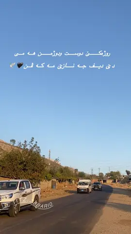 سە فرە#بالندا__بارزان__سيريئ__شيلادزي #سليمانيه_كردستان_العراق__كةركوك #بارزانی_ناسنامەی_گەلی_کورد💔 