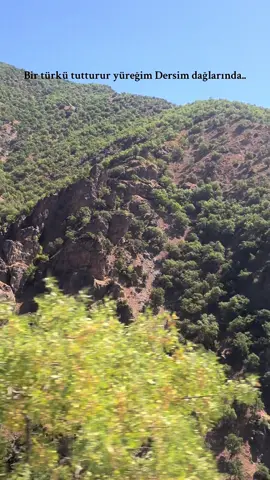 #aleviyim #alevigenclik #dersim #munzur 