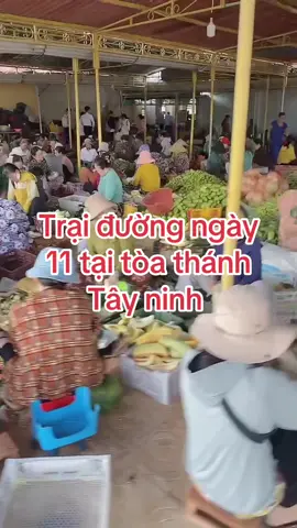 Tòa thánh mới 11 đả có cơm . Củ mì . Bánh mì . Nước cam cafe.hoàn toàn miễn phí #tayninh70 #hashtagxuhuong🌈 #toathanhtayninh #daocaodai #longan @Út Hoàn 