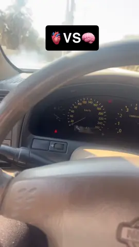 ##الشعب_الصيني_ماله_حل😂😂 ماشاءالله