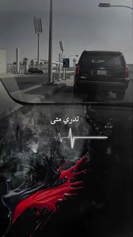 #اكسبلورexplore 
