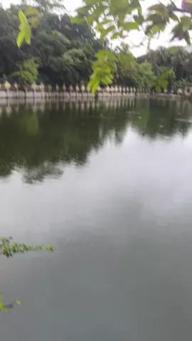 #ফর ইউ