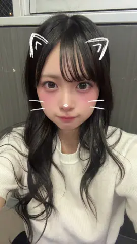 ねこ大好きだけどアレルギーなのやだ🤧あと秋花粉やばない？？#福岡