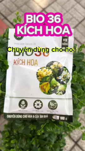 BIO 36 Chuyên Kích Hoa#phanbon70 #xuhuong #viral 