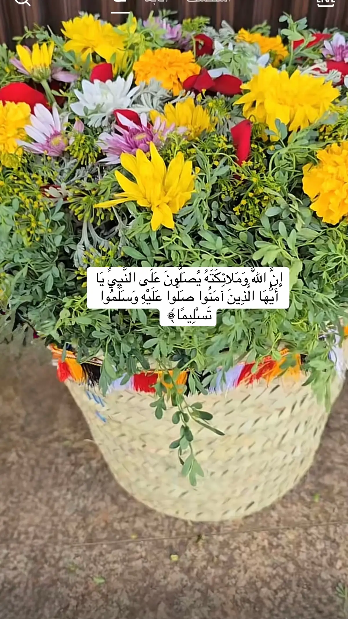 #اكسبلوررررررر #fypシ゚viral 