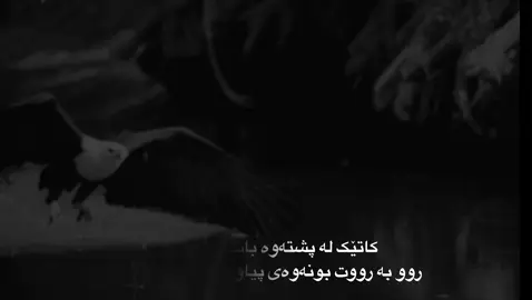 #talo_rash #foryou 