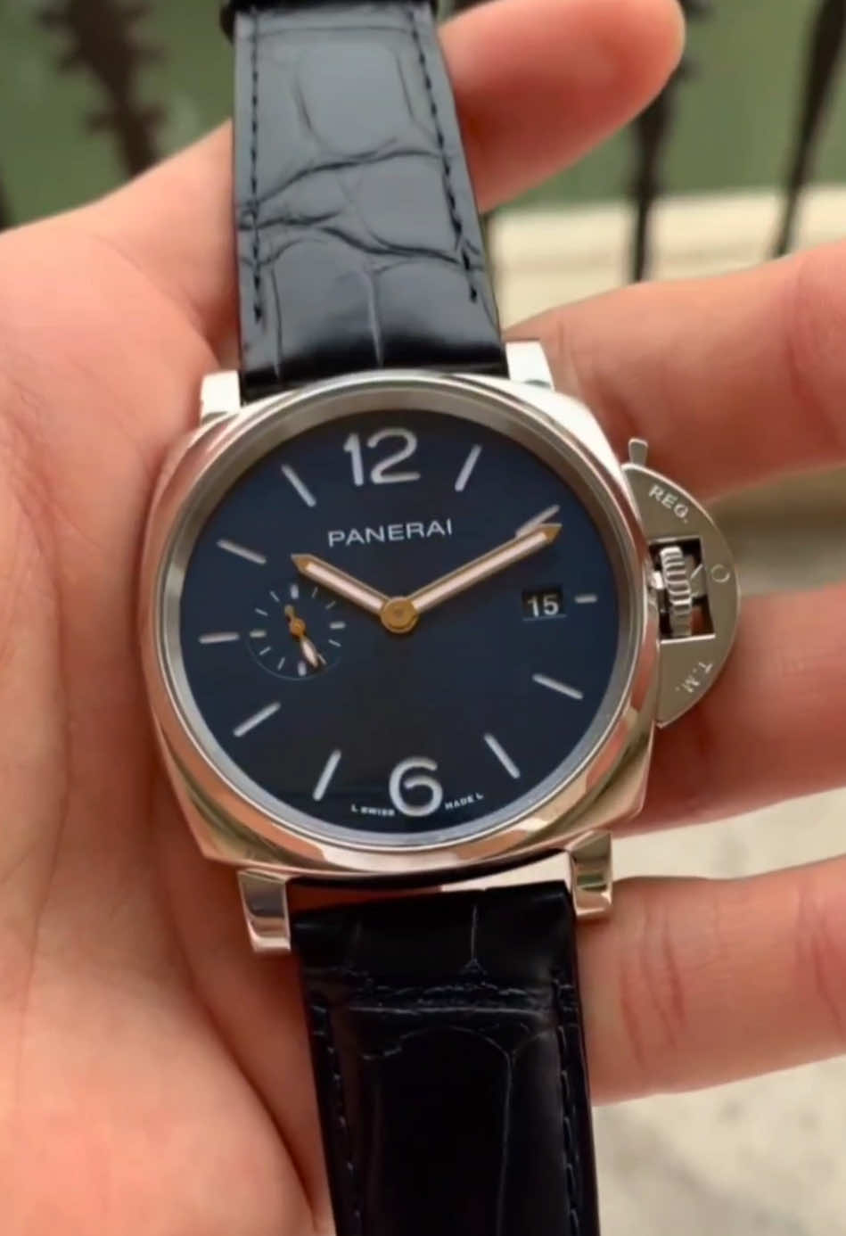 Do you like it?#watch #watches #wristwatch #Panerai #gift 
