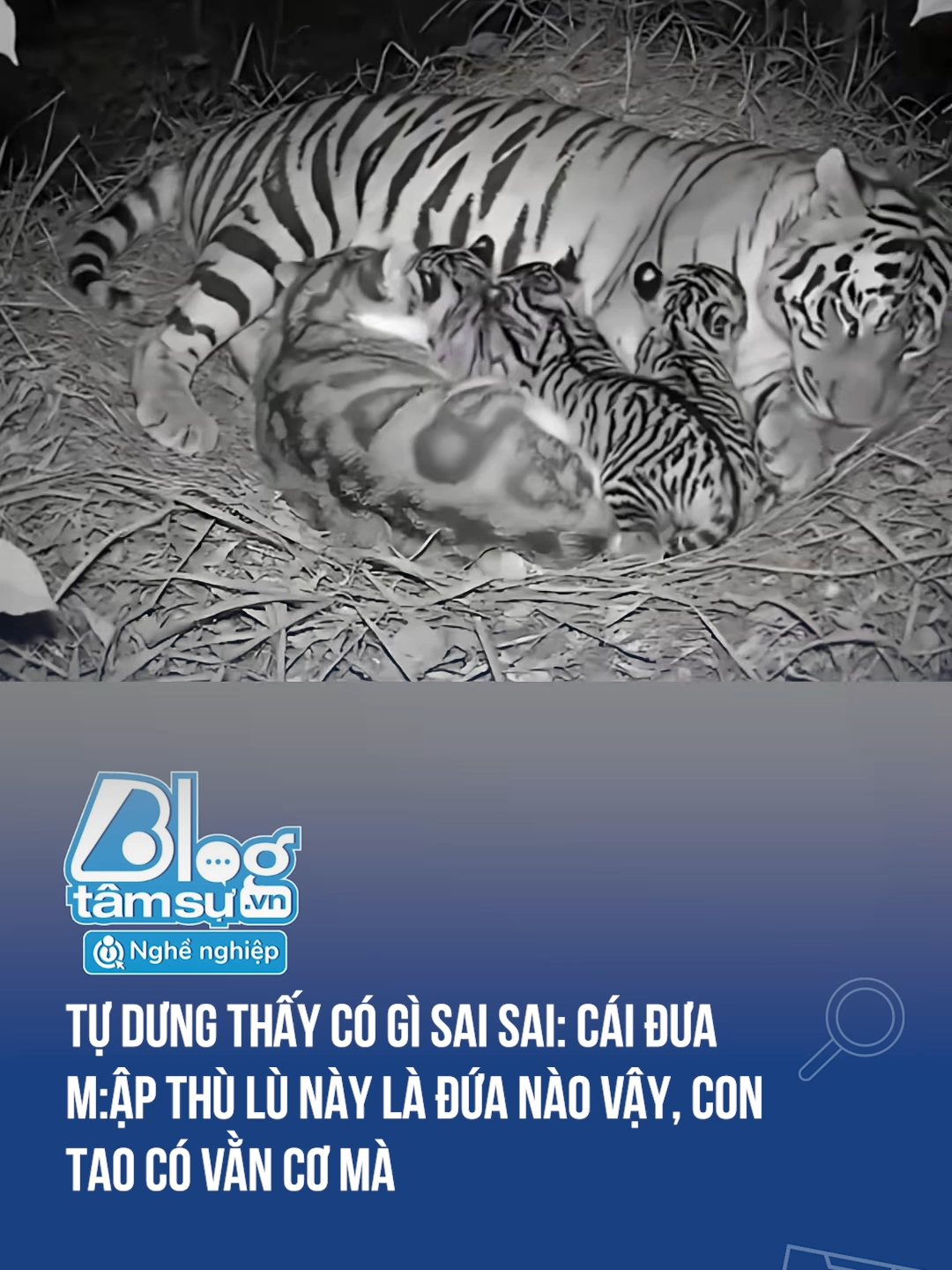 Ủa đứa này đây 🤣🤣🤣 #discovery #blogtamsu #xuhuong #btsmedia #tiktoknews #funfact #viral #dangyeu #haihuoc