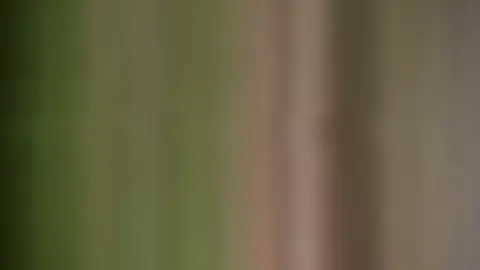 cre vid: cy_lvue.11 #fyp #viral #ilovetiktok #xhtiktok #hihi 