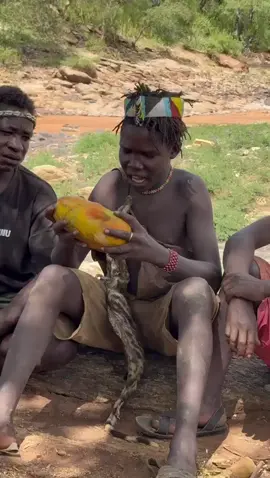“First time seeing papaya 🍊😲” “Our Hadzabe hunter friend just saw papaya fruit for the very first time 😌🍊. Dudukwe and Chaba were in total shock like… ‘what is this magic fruit?!’ 😂 Their reactions are priceless!” ⸻ #HadzabeTribe #PapayaFirstTime #CulturalExchange #FunnyReactions #FoodDiscovery